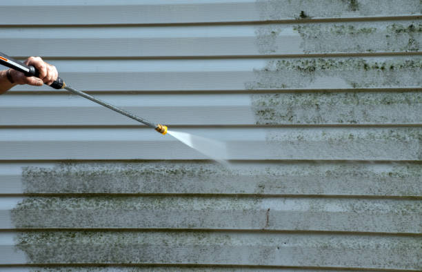 Best Garage Pressure Washing  in Honaunau Napoopoo, HI