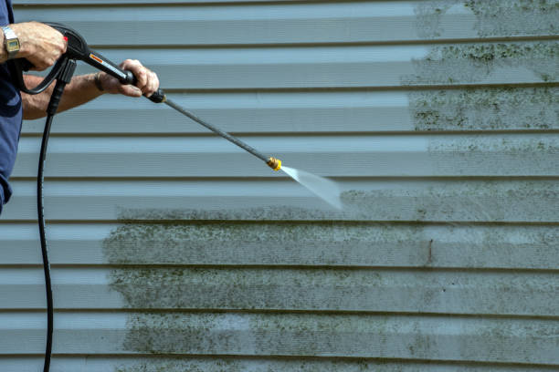 Best House Pressure Washing  in Honaunau Napoopoo, HI